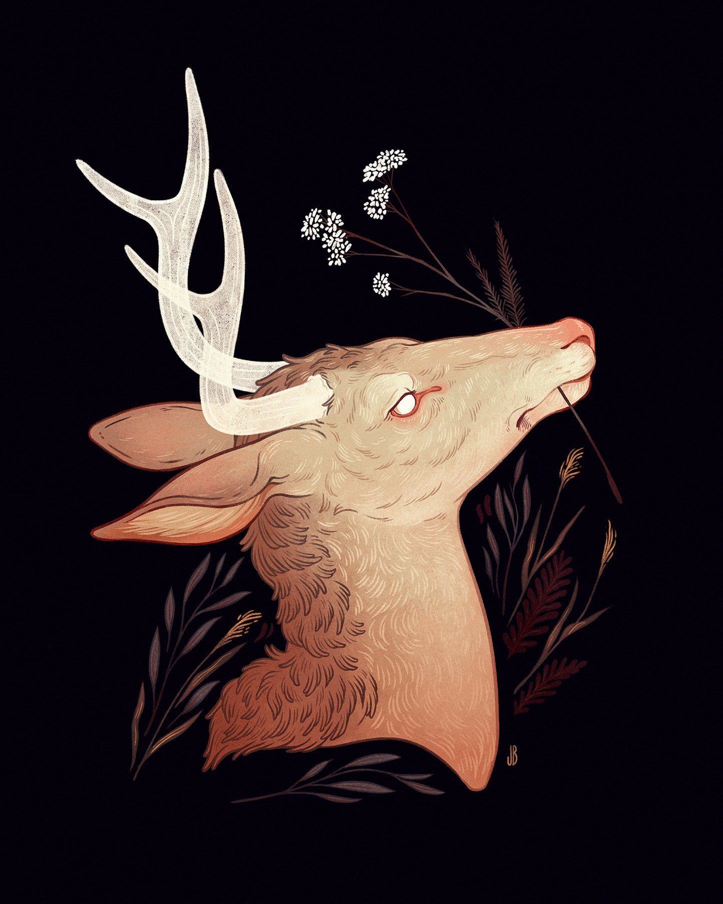 Yarrow - Print