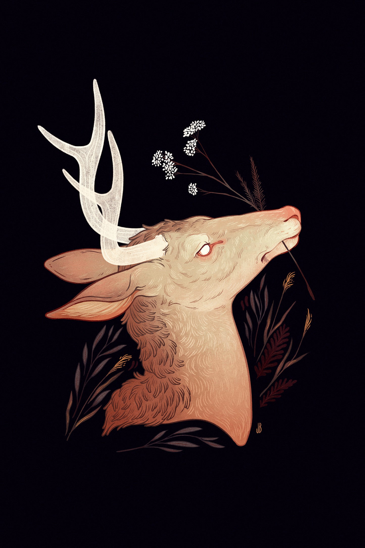 Yarrow - Print